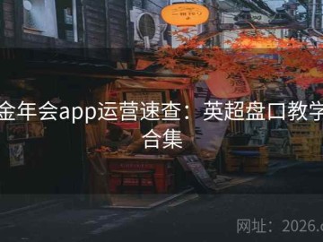 金年会app运营速查：英超盘口教学合集