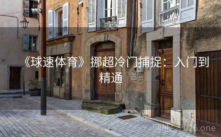 《球速体育》挪超冷门捕捉：入门到精通