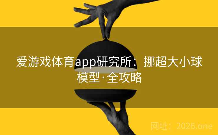 爱游戏体育app研究所：挪超大小球模型·全攻略